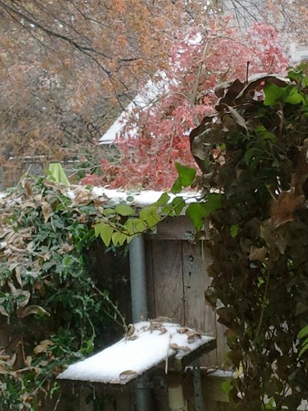 2013-12-07 10.52.59.jpg